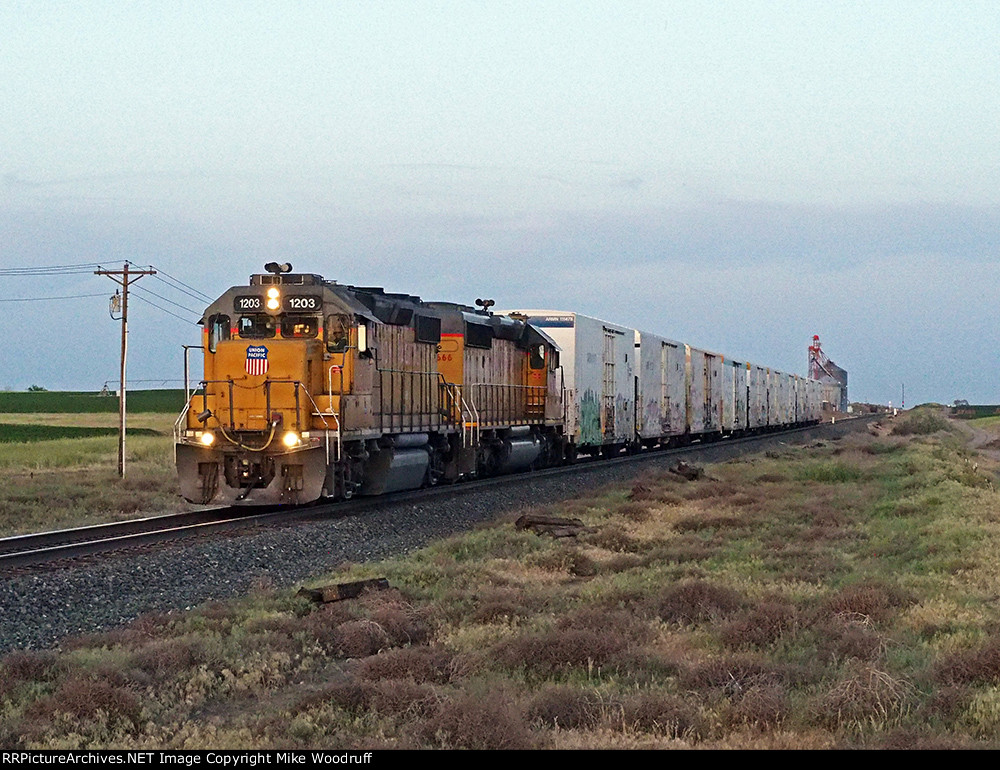 UP 1203